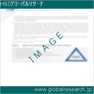 グローバルリサーチ調査レポートのイメージ
